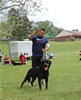 0942 Kimon Dell Antico Guerrero DQ
