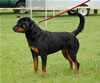 0493 Shanti Von Evman G