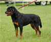 0495 Shanti Von Evman G