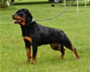 0517 Aska Von Der Spencberg SG1