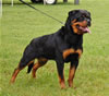 0608 Aska Von Der Spencberg SG1