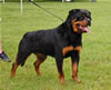 0609 Aska Von Der Spencberg SG1