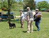 0214 Addie Vom Hause Hudson VP1