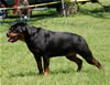0234 Aspen Von Der BarrHump P3