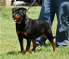 0239 Aspen Von Der BarrHump P3