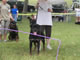 12-18 MALES: 2100 1307
