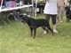 12-18 MALES: 2100 1311