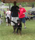 12-18 MALES: 2100 1327
