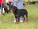 12-18 MALES: 2100 1346