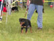 4-6 FEMALES: 200 1045