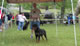 9-12 MALES: 200 1009