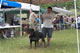 CHAMPION MALE: 2100 1921