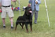 CHAMPION MALE: 2100 1971