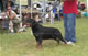 CHAMPION MALE: 2100 1982