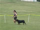 OPEN FEMALES: 200 2041