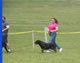 OPEN FEMALES: 200 2049
