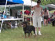 OPEN FEMALES: 200 2058