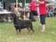 OPEN FEMALES: 200 2061