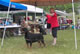 OPEN FEMALES: 200 2062