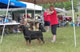 OPEN FEMALES: 200 2063