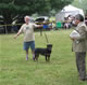 BEST FEMALE PUPPY: 200 1231