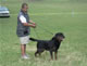 USRC SE REGIONAL SIEGER: Image