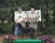 SATURDAY JUDGES PICTURES: 200 1479
