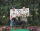 SATURDAY JUDGES PICTURES: 200 1481