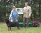 SATURDAY JUDGES PICTURES: 200 1491