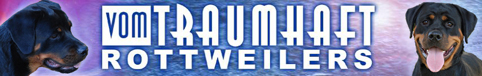 vom Traumhaft Rottweilers Florida