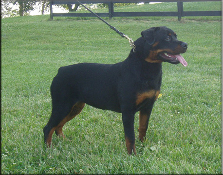 Enye at 8 mths