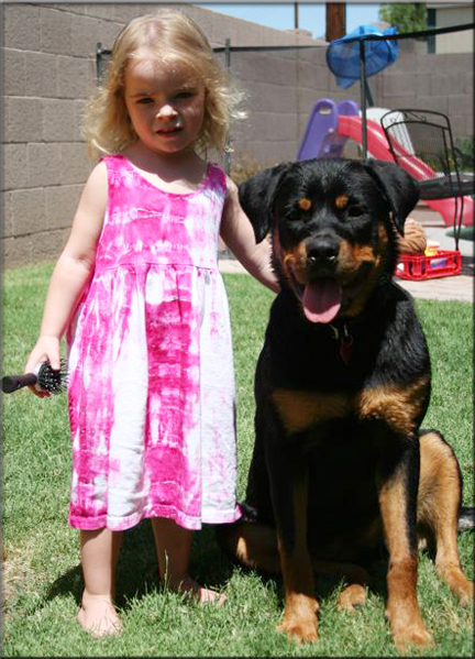 Lexi vom Blaurasen   |    |  rottweilers  |   Sire: Quincy vom Plotzschgrund  |   Dam: Meggi von Herrschaft