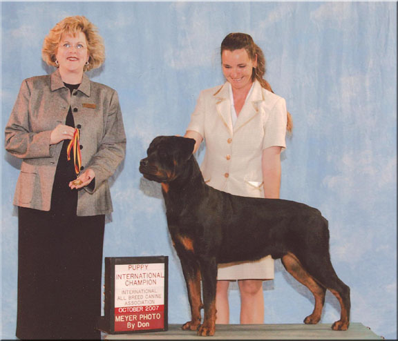 Jager winning Puppy International Champion