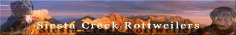 Siesta Creek Kennels - UT