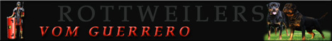 vom Guerrero Rottweilers - Riverside, Calif