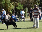 12-18 FEMALES: 0410 Nadira Crni Lotos V2