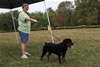 4-6 month FEMALES: 102 LandL Astrid Von Der Brunhilde VP2