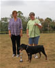 4-6 month FEMALES: 117 LandL Astrid Von Der Brunhilde VP2