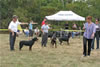 6-9 month FEMALES: 0696 6-9mth Females