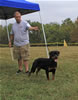 9-12 month FEMALES: 152 Addie Vom Hause Hudson VP1