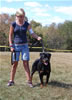 OPEN FEMALES: 0954 Bronkos Legacy V