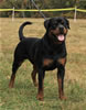 12-18 month MALES: 049 Fritz Wilhelm Von Landschaft V3