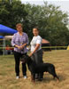 12-18 month MALES: 067 Barron Vom Hause Kelleman SG