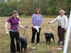 4-6 month MALES: 0613 Halos California Dreamn VP1