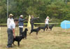 6-9 month MALES: 0677 6-9mth Males