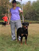 9-12 month MALES: 024 Redwood Krests Bodi P