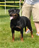 Open Females: 0673 Arisa Von Der Stark V