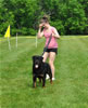 18-24 month males: 0371 Dezal Von Baltmannsweiler G3