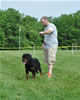 18-24 month males: 0382 Axis Vom Hause Hudson SG2