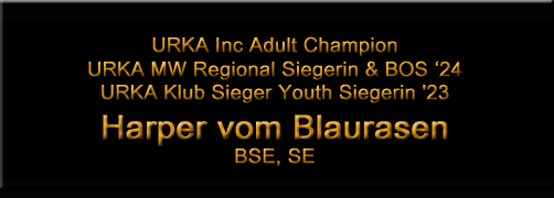 Harper vom Blaurasen